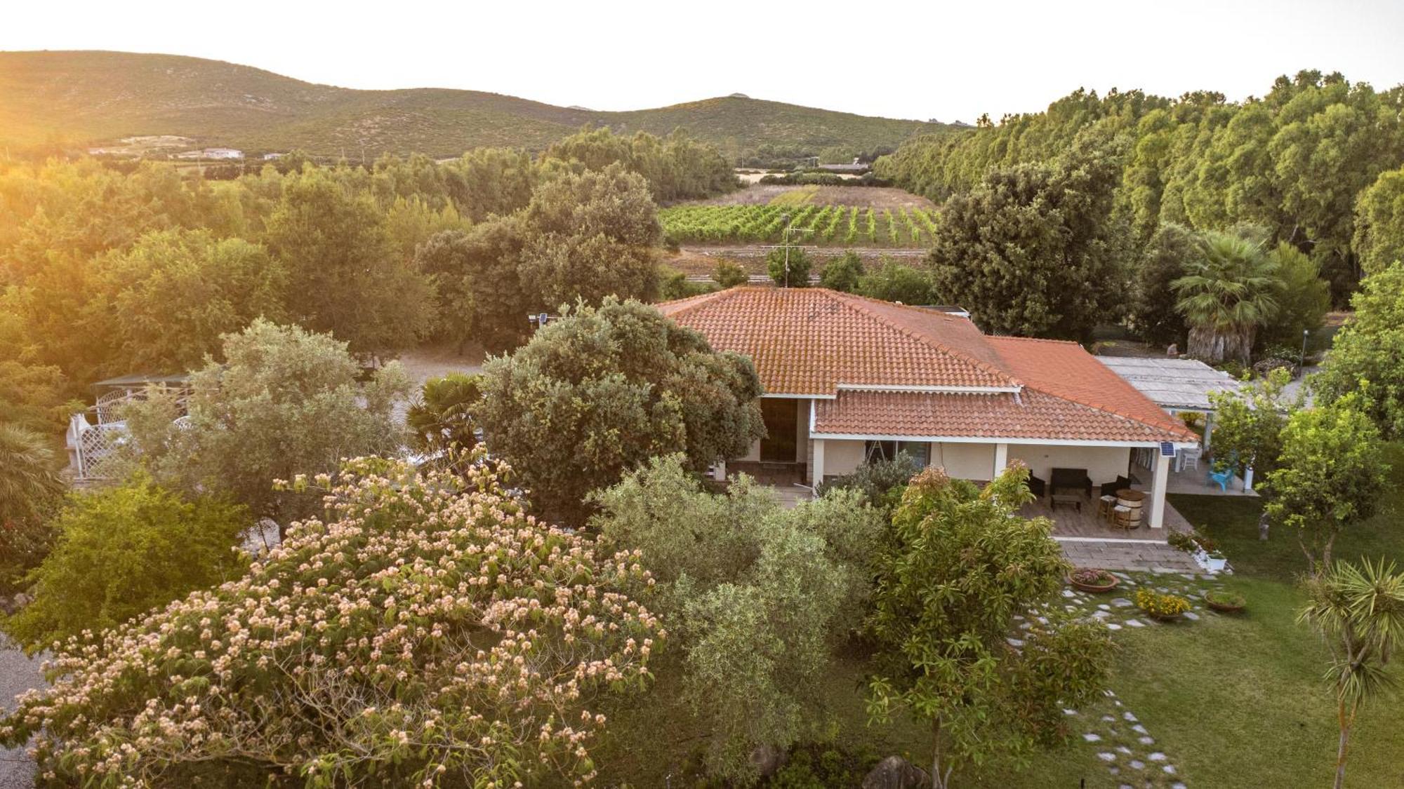 مبيت وإفطار ألغيرو The Vineyards المظهر الخارجي الصورة
